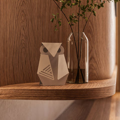 ORIGAMI OWL